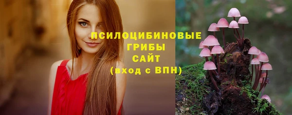 сатива Карпинск