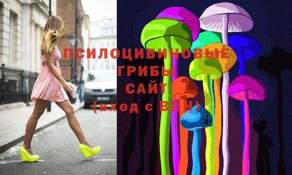 ПСИЛОЦИБИНОВЫЕ ГРИБЫ Кинешма