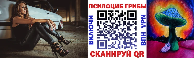 Псилоцибиновые грибы GOLDEN TEACHER  как найти закладки  Куйбышев 