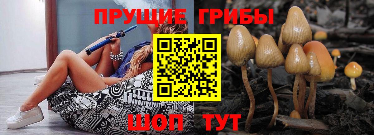 Галлюциногенные грибы MAGIC MUSHROOMS  Вход с VPN  Галлюциногенные грибы Cubensis  Куйбышев 